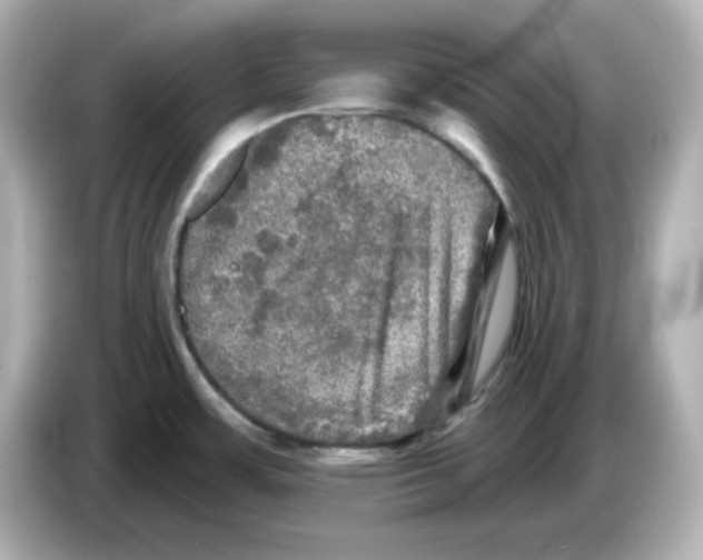 X0000085771483200704091344