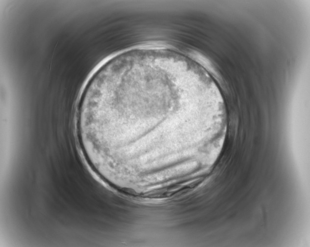 X0000085771484200704091344