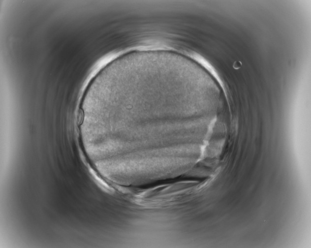 X0000085771485200704091344