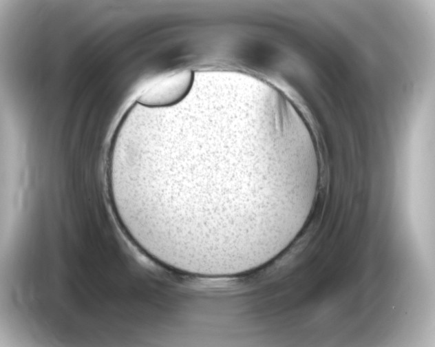 X0000085771486200704091343