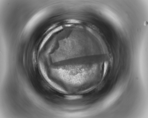 X0000085771487200704091343