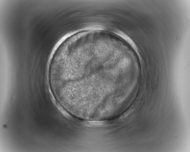 X0000085771488200704091343