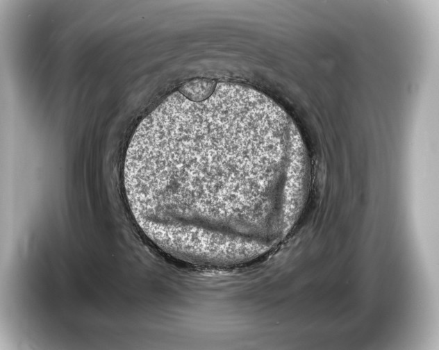 X0000085771489200704091343