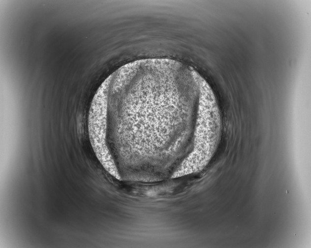 X0000085771490200704091343