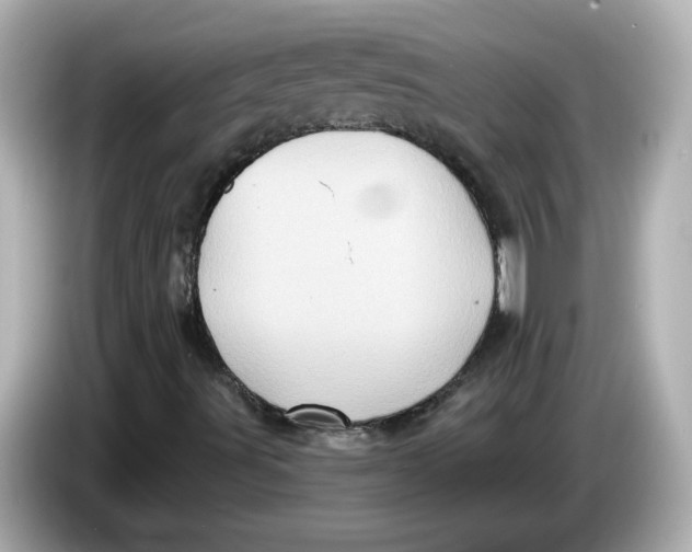 X0000085771491200704091343