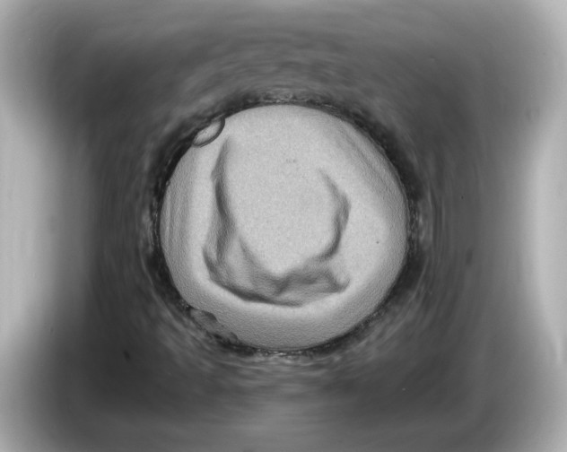 X0000085771493200704091343