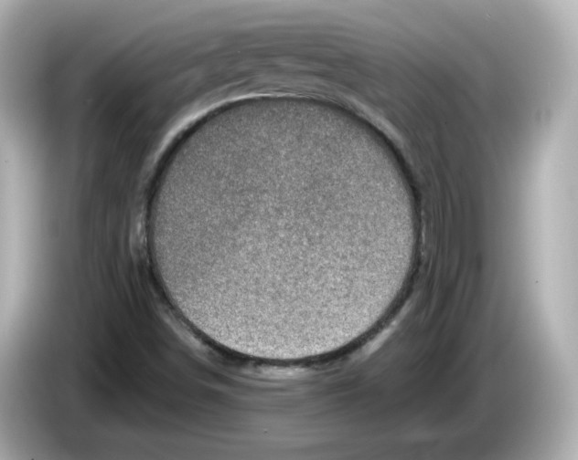 X0000085771498200704091343