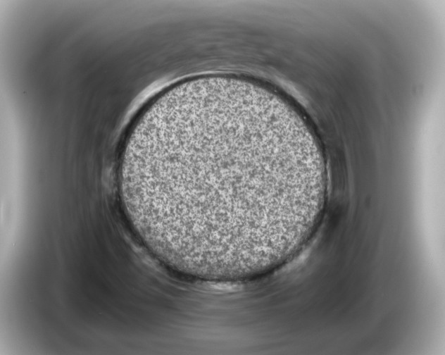 X0000085771501200704091343