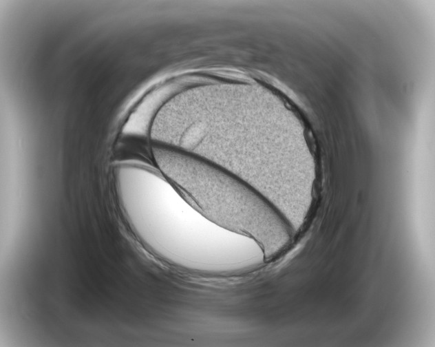 X0000085771502200704091343