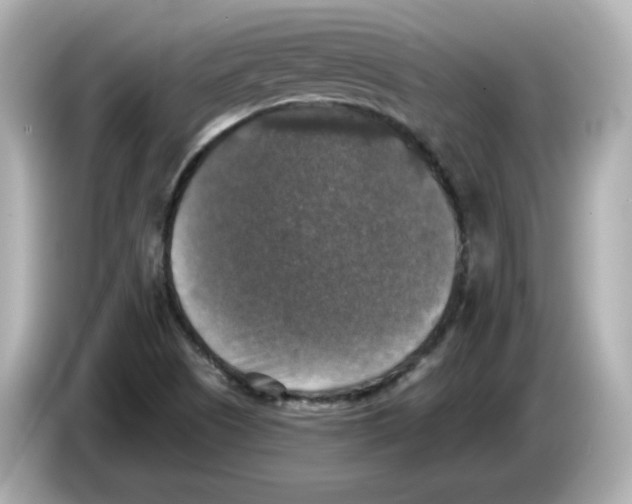 X0000085771505200704091343