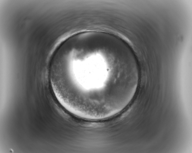 X0000085771506200704091343