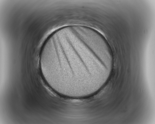 X0000085771507200704091343