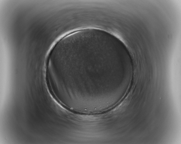 X0000085771508200704091343