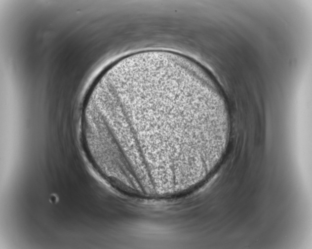 X0000085771511200704091343