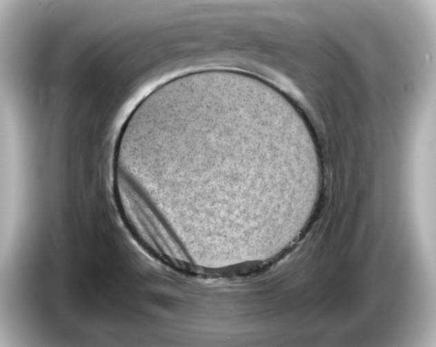 X0000085771512200704091343