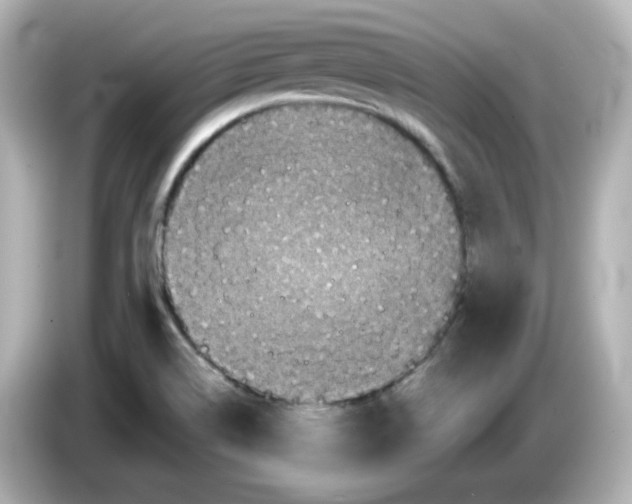 X0000085771514200704091343