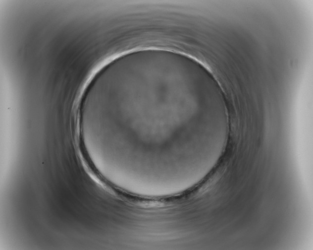 X0000085771515200704091343