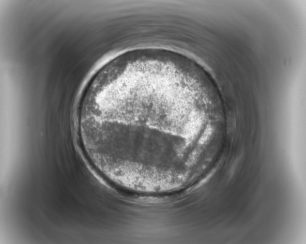 X0000085771517200704091343