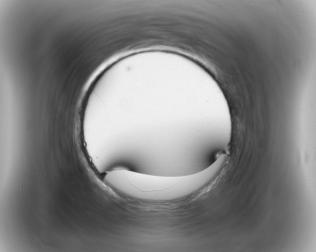 X0000085771518200704091343