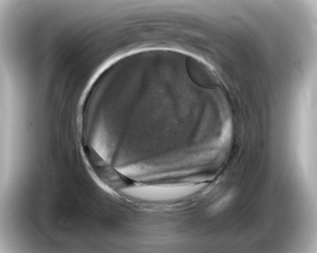 X0000085771519200704091343