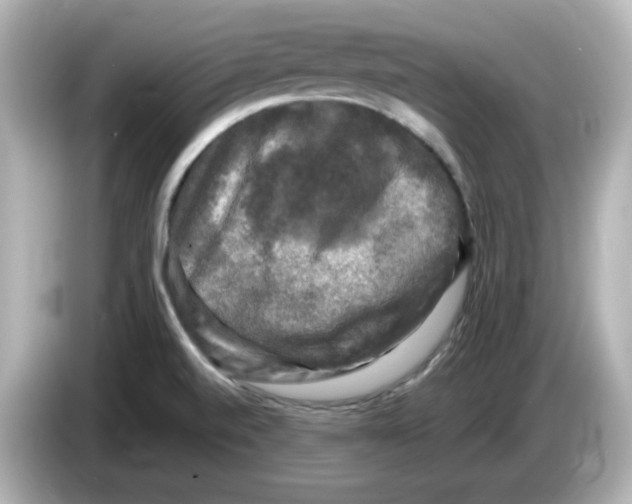 X0000085771520200704091343