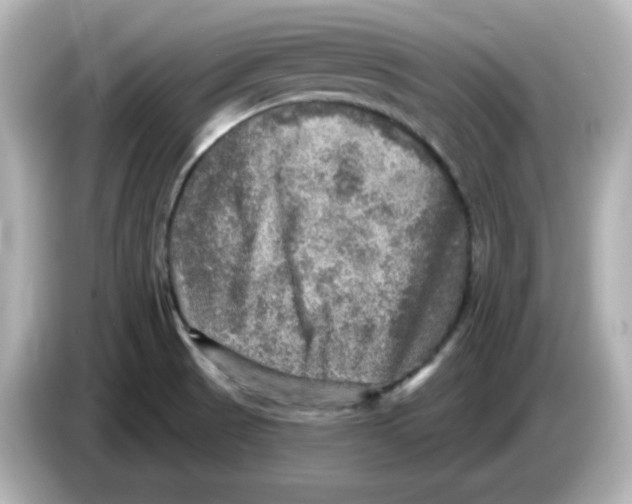 X0000085771521200704091343