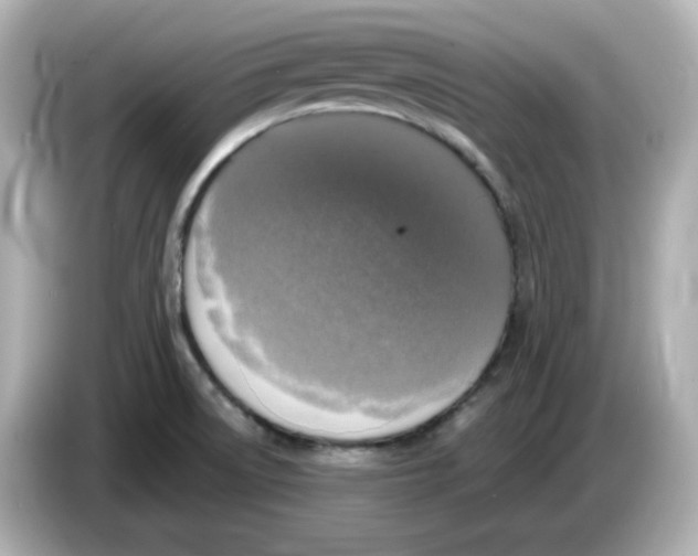 X0000085771522200704091343