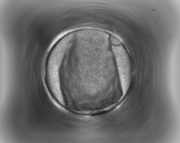 X0000085771523200704091343