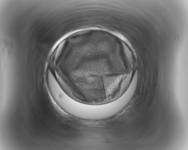 X0000085771524200704091343