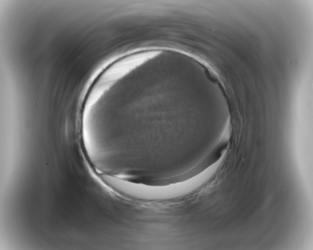 X0000085771527200704091343