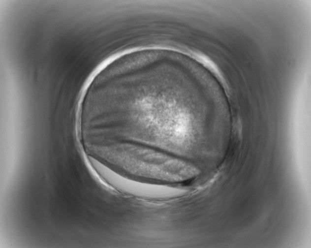 X0000085771528200704091343