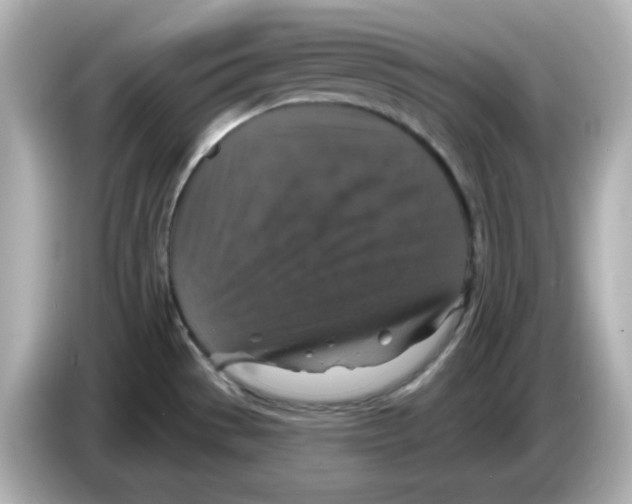 X0000085771529200704091343