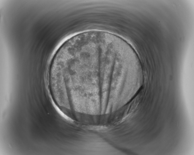 X0000085771531200704091343