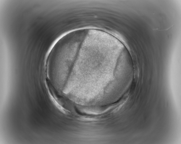 X0000085771532200704091343