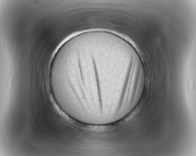 X0000085771534200704091343