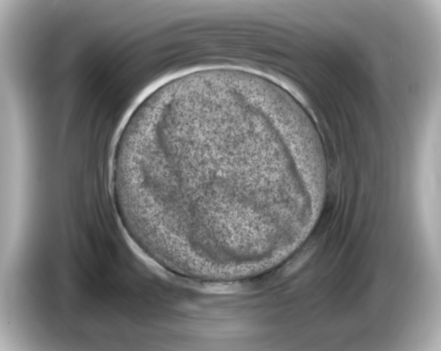 X0000085771535200704091343