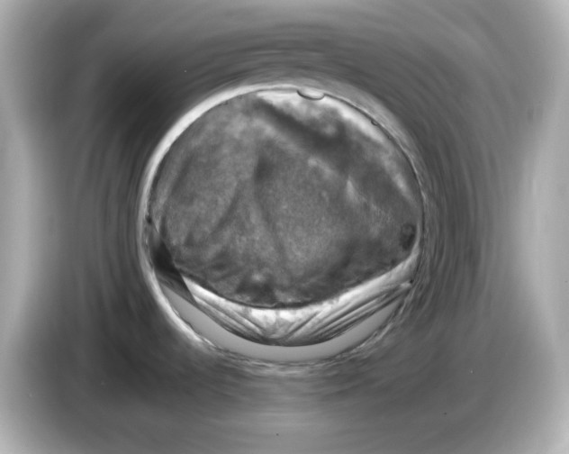 X0000085771536200704091343