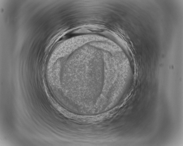 X0000085770001200704131815