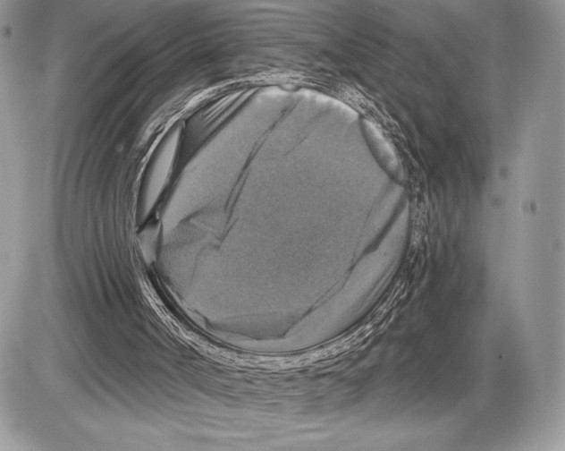 X0000085770002200704131815