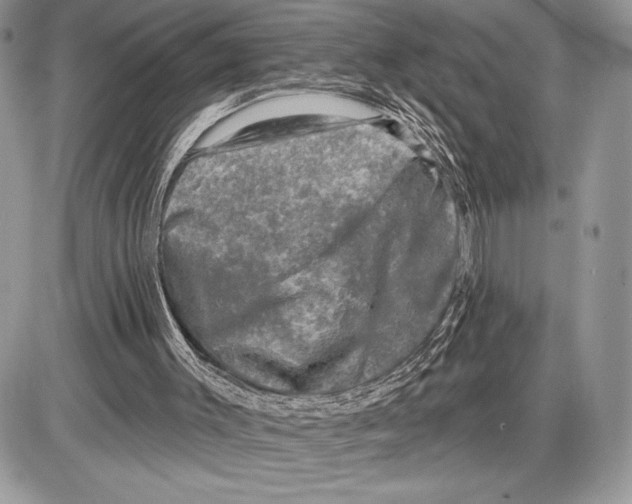 X0000085770003200704131815