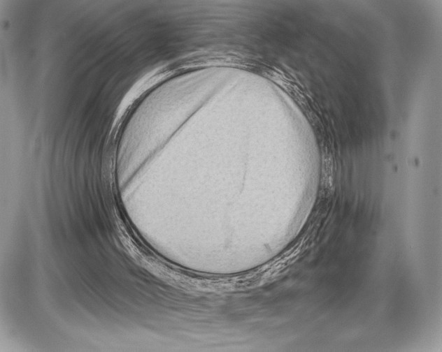 X0000085770004200704131815