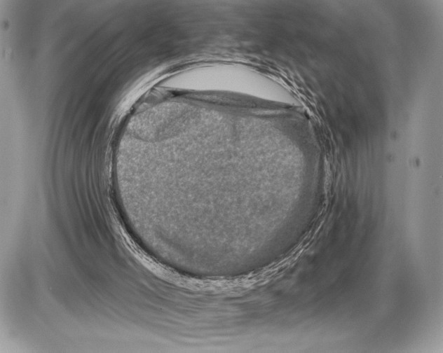 X0000085770005200704131815