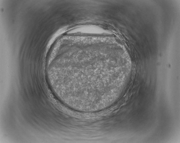 X0000085770006200704131815