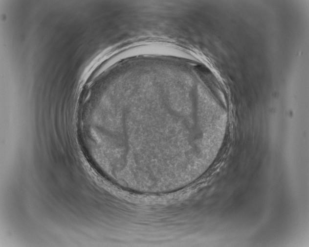 X0000085770007200704131815