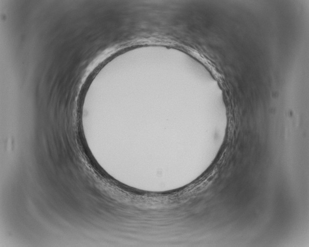 X0000085770008200704131815