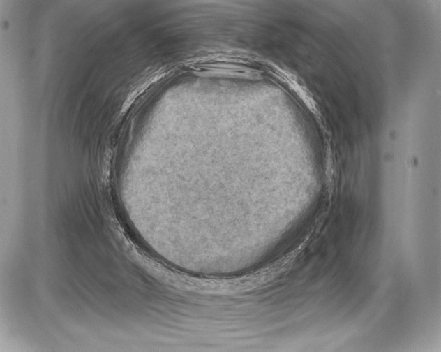 X0000085770010200704131815