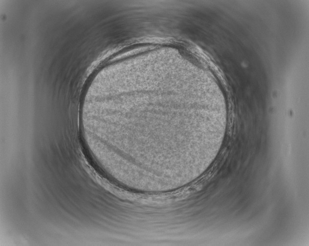 X0000085770011200704131815