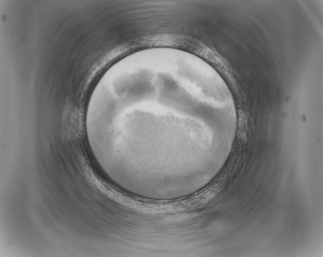 X0000085770012200704131815