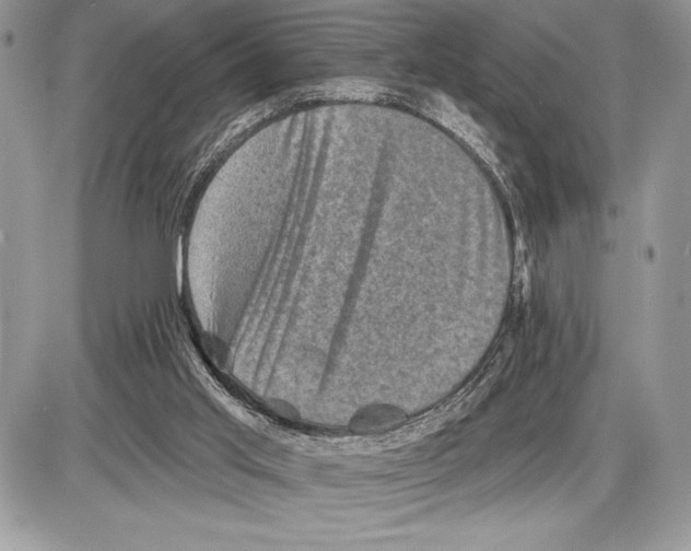 X0000085770013200704131815