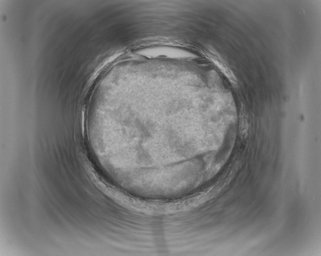 X0000085770014200704131815